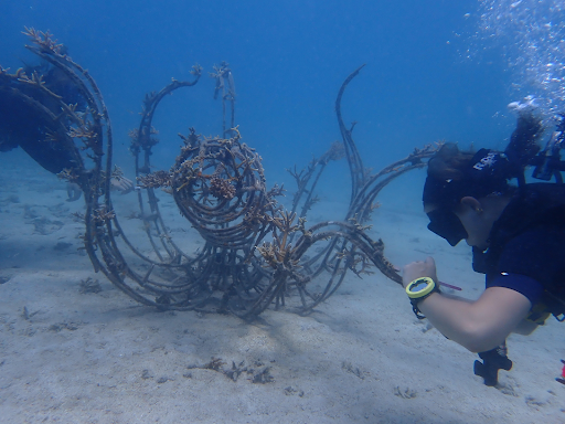 World Oceans Day 2025: How Small Shifts Create Big Waves